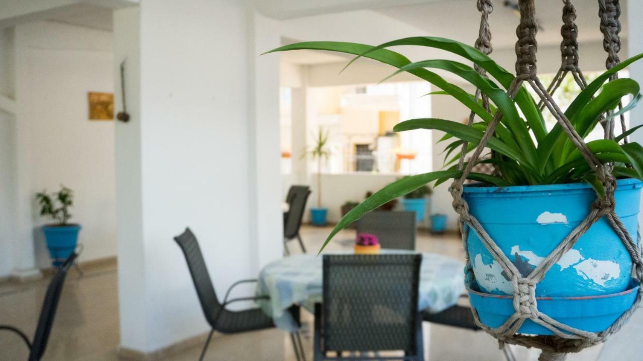 Niki Apartments Paralia Dionysiou Bagian luar foto